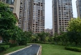绿地海森林13