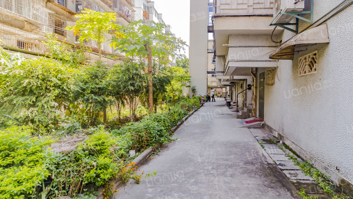 市残联住宅楼外景图