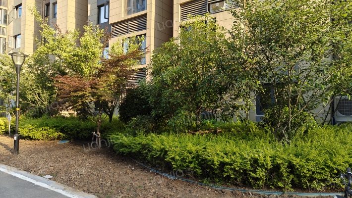 星河湾茗苑外景图