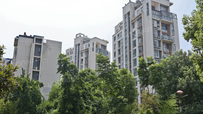 香格里拉花园外景图