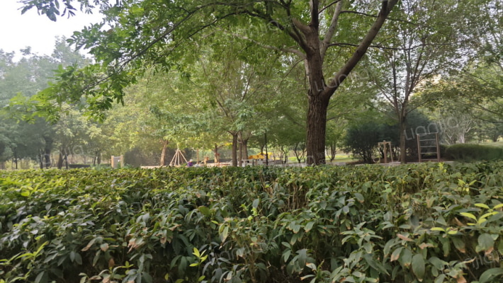 省文联宿舍外景图