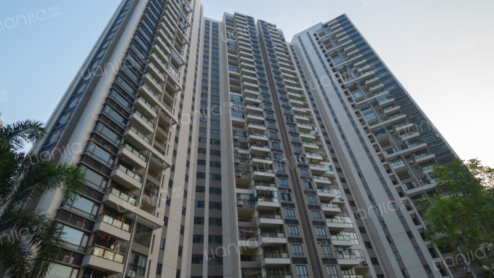 碧桂园海湾1号外景图