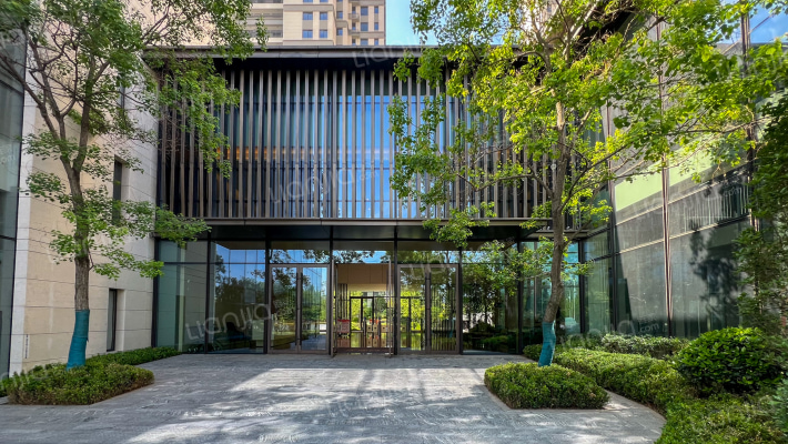 白桦林漫步外景图