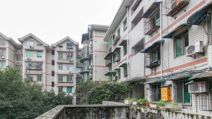 丽景苑(南岸)外景图