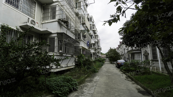 新环西路546弄外景图