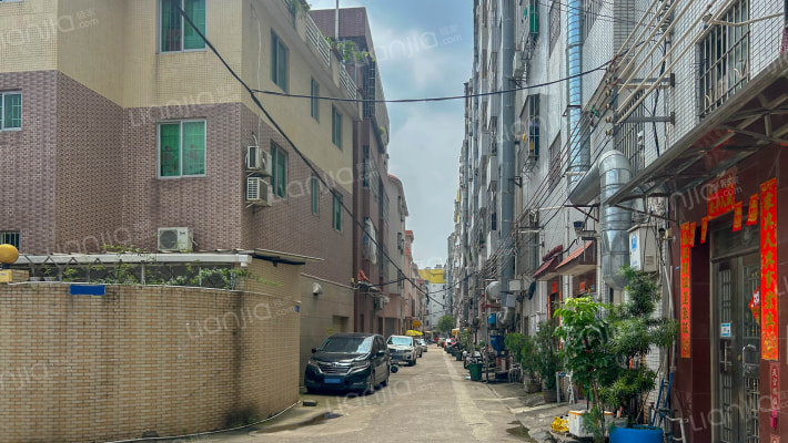 大良单家五沙居委会外景图