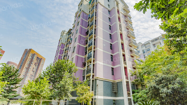 国信新城二期外景图