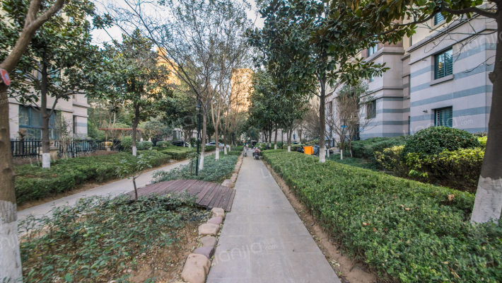 中义·阿卡迪亚外景图