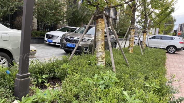 保利观唐外景图