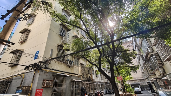 妹子山巷13号外景图