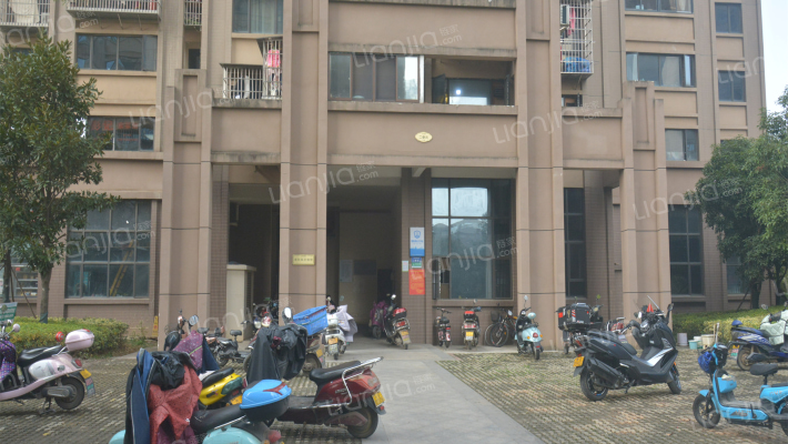 东驿竹园外景图