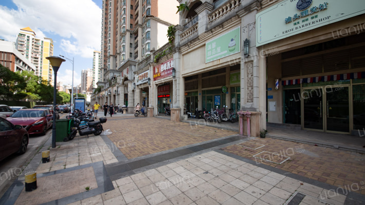 荷兰水乡揽胜外景图