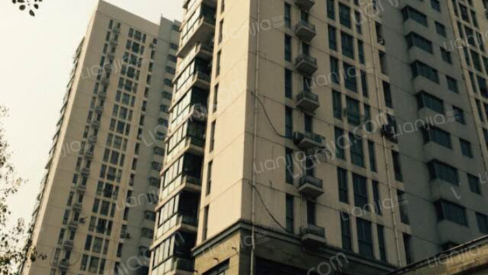 东上海中心外景图