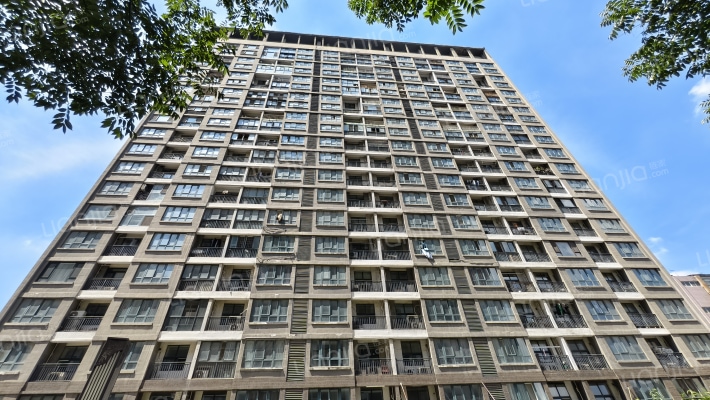 龙商天骄外景图