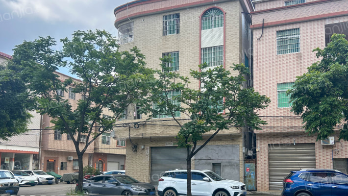 容桂单家高黎社区外景图