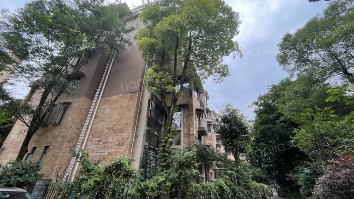 青城外滩外景图