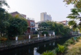 大洋彼岸14