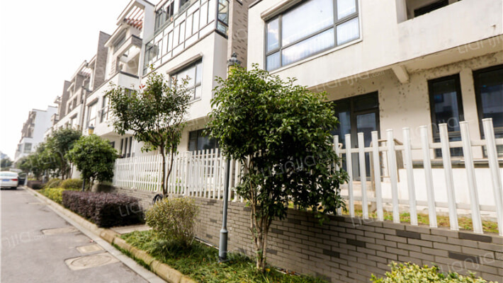 阳澄之星外景图