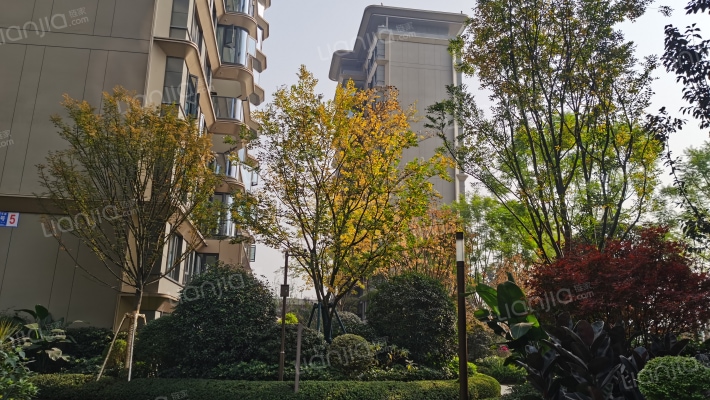 华润置地鼎信长城锦官和鸣外景图