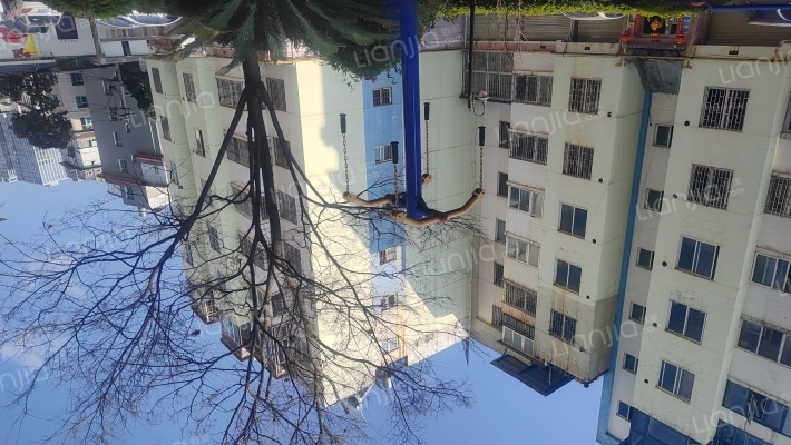 金星园丁二期外景图