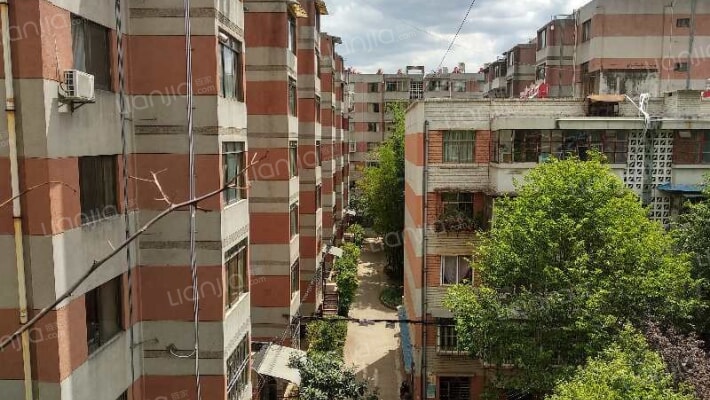 省供销社宿舍外景图