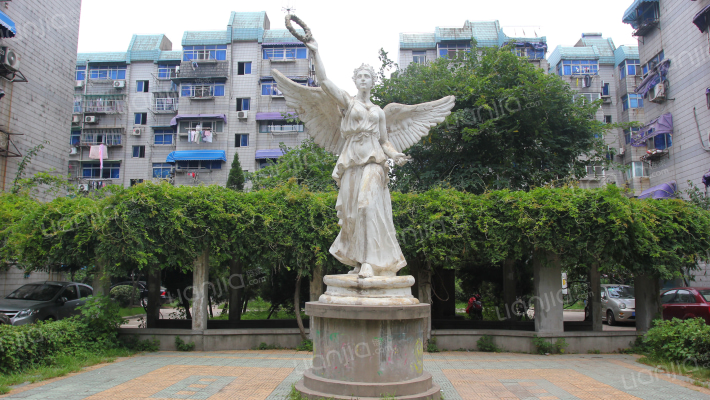 爱达花园兰花园外景图