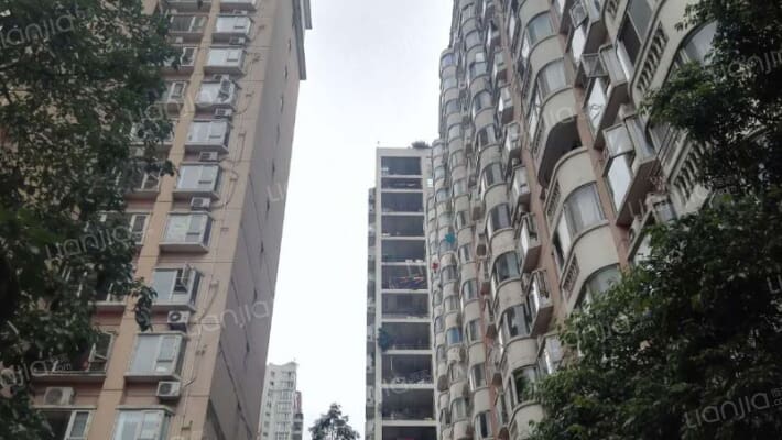 盛世年华外景图