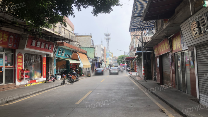 伦教常教单家外景图