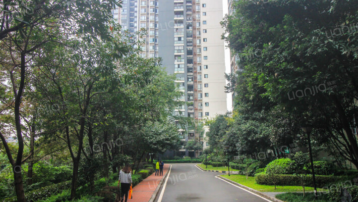 莲花半岛外景图