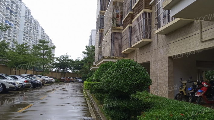 南国中心外景图