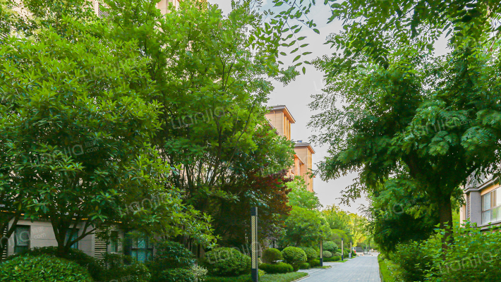 中海阅骊山一期外景图
