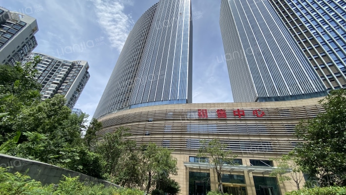 白天鹅国际商务中心外景图