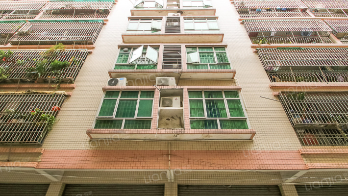 同乐路教师楼外景图