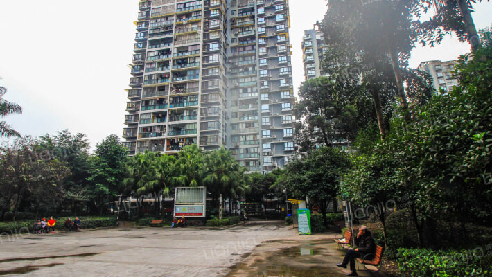 海德盛世A区外景图