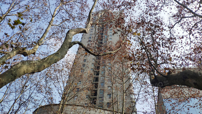 华仁大厦外景图