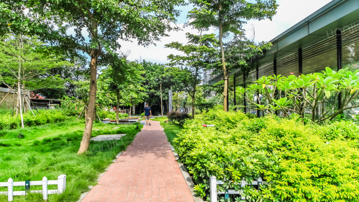 盛天国际外景图