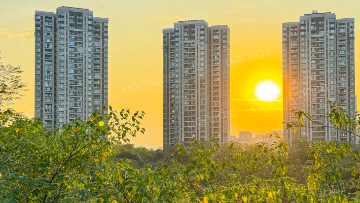 万科金域华府外景图