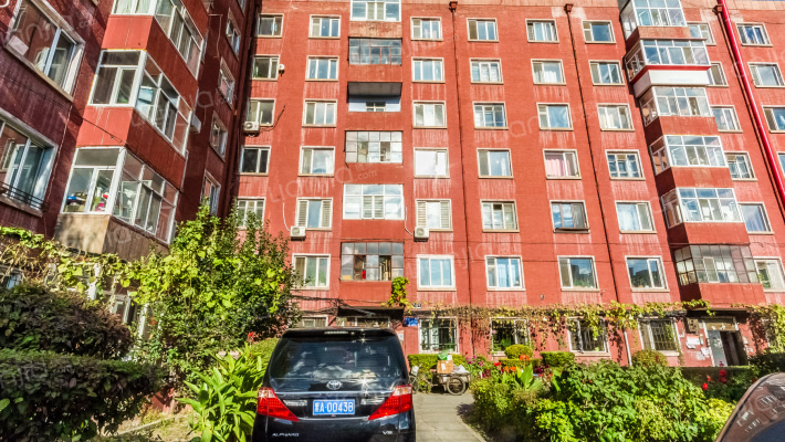 石化小区外景图