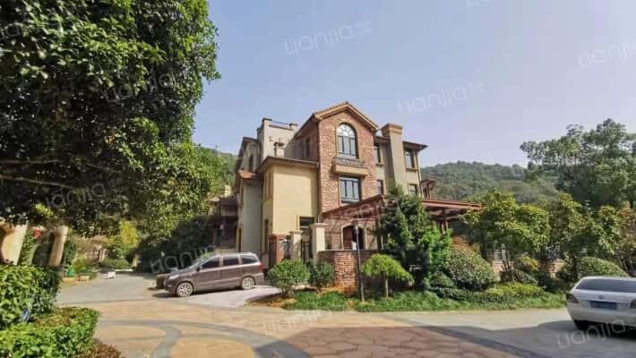 山水水印林语外景图