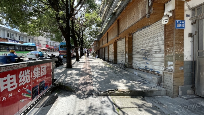 观水路183号外景图