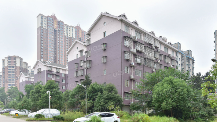 湘樟家园外景图