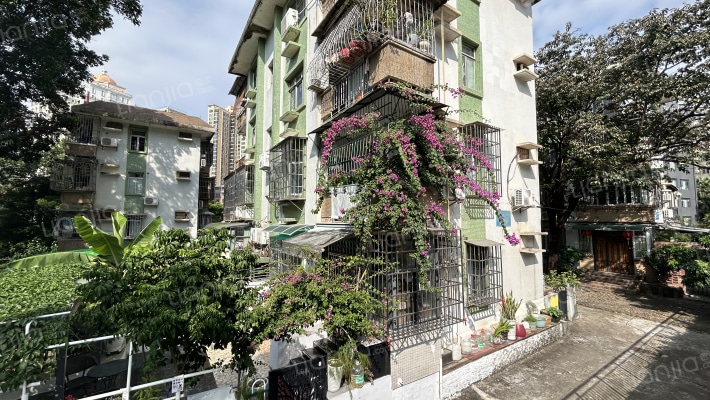 海滨新村外景图