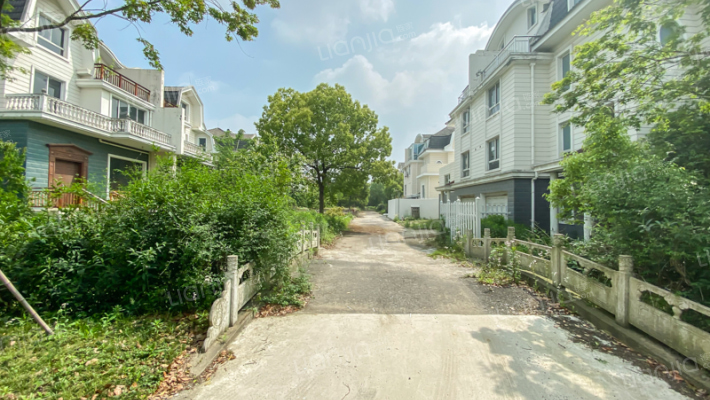 桃花源别墅外景图