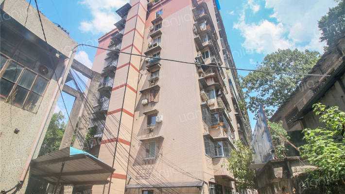 金山路158号外景图