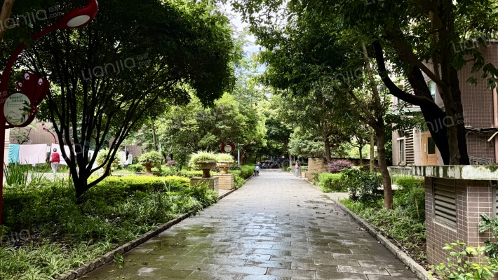 艺术家园区D区外景图