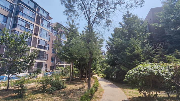 新星绿城六期外景图