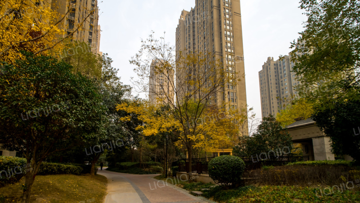 新里卢浮公馆外景图