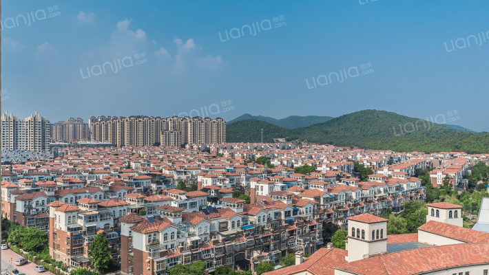 泉山森林海外景图