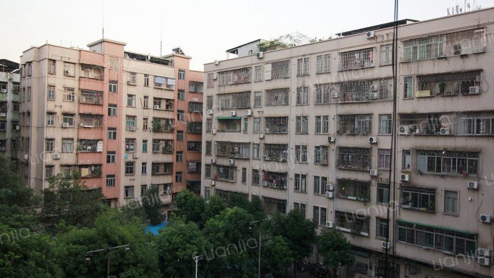 林业局小区外景图