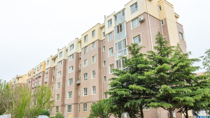 锦泉源B4区外景图